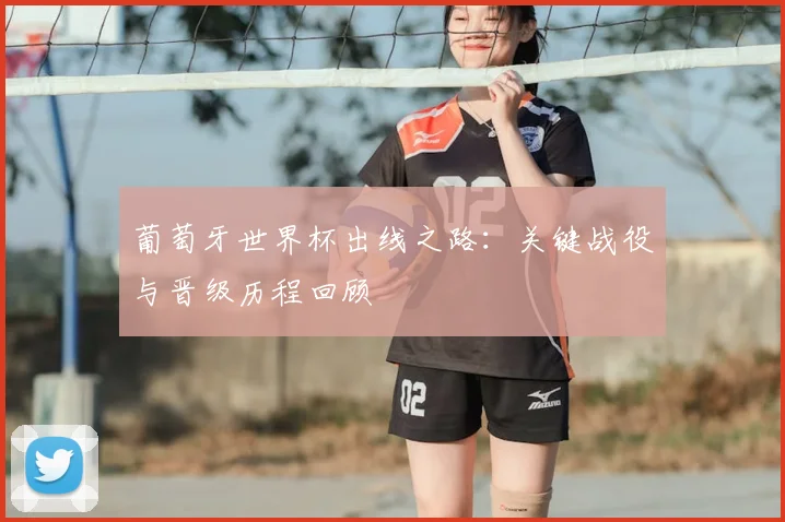葡萄牙世界杯出线之路：关键战役与晋级历程回顾